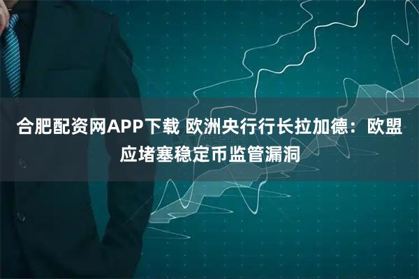 合肥配资网APP下载 欧洲央行行长拉加德：欧盟应堵塞稳定币监管漏洞