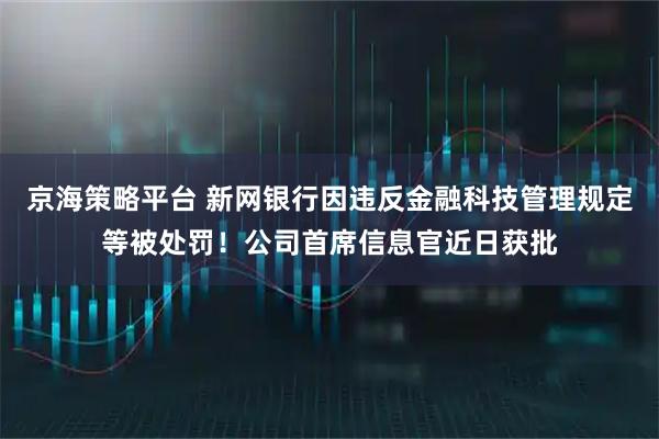 京海策略平台 新网银行因违反金融科技管理规定等被处罚！公司首席信息官近日获批